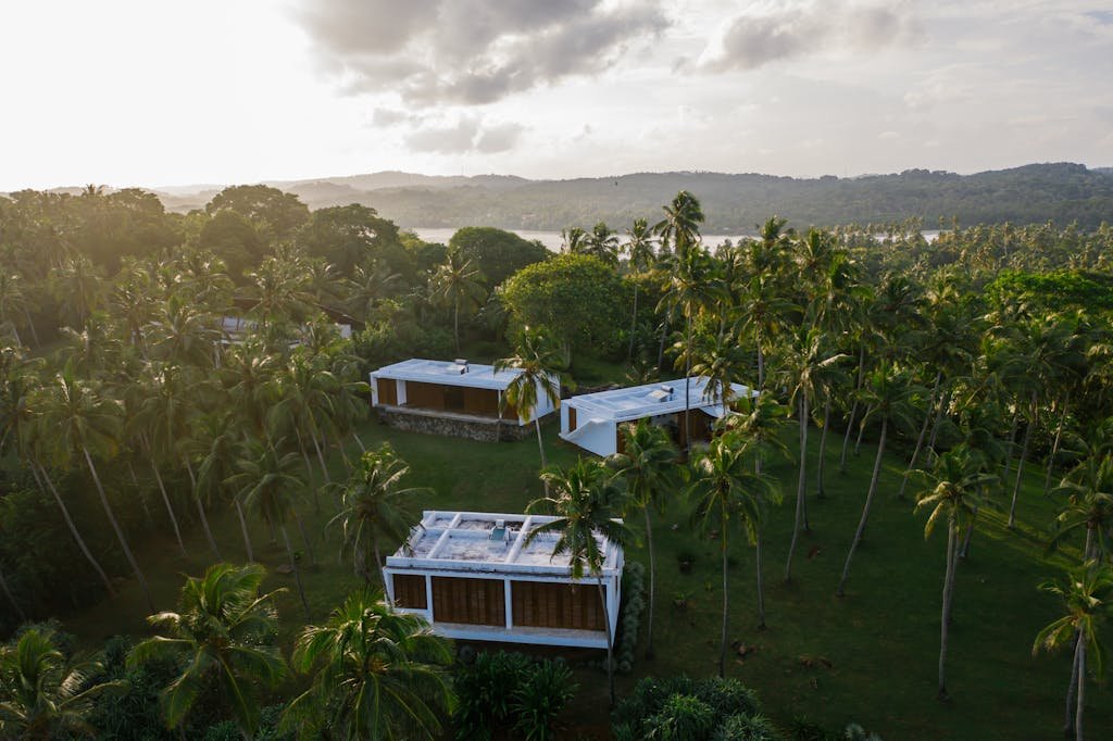 Aerial view of modern villas surrounded by tropical palm trees and lush greenery at sunset, perfect for vacation.